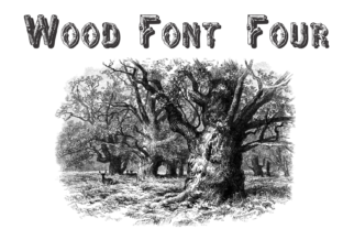 Wood Font Four: A Typeface for Crafting Natural, Authentic Brands